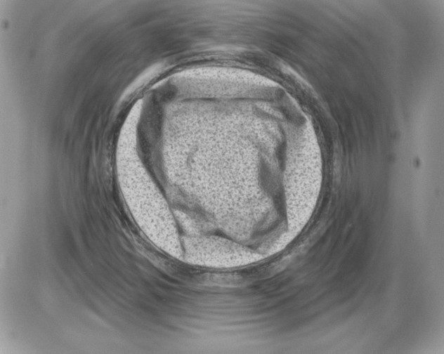 X0000085801354200704131910