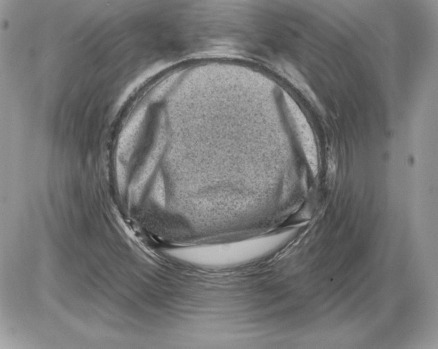 X0000085801356200704131910