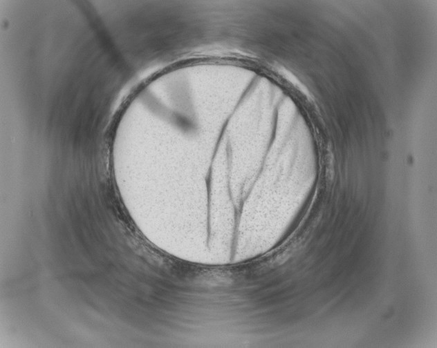 X0000085801358200704131910