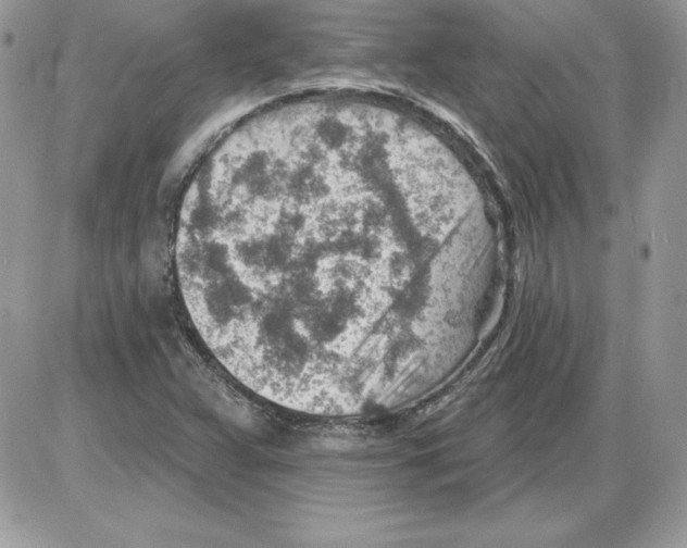 X0000085801359200704131910