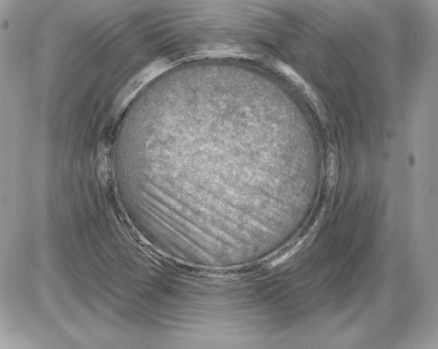 X0000085801361200704131910