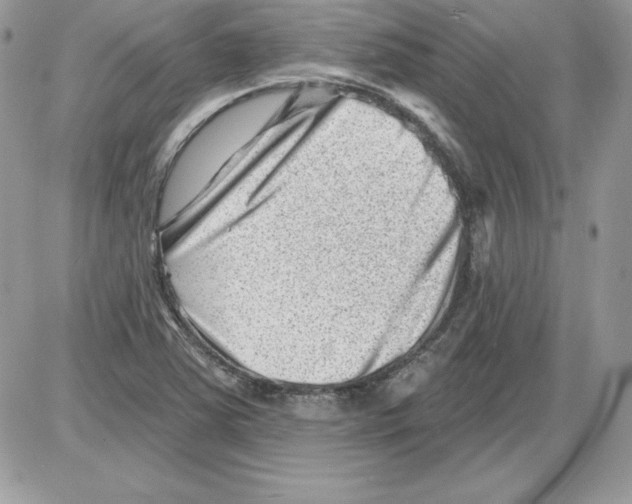 X0000085801363200704131910