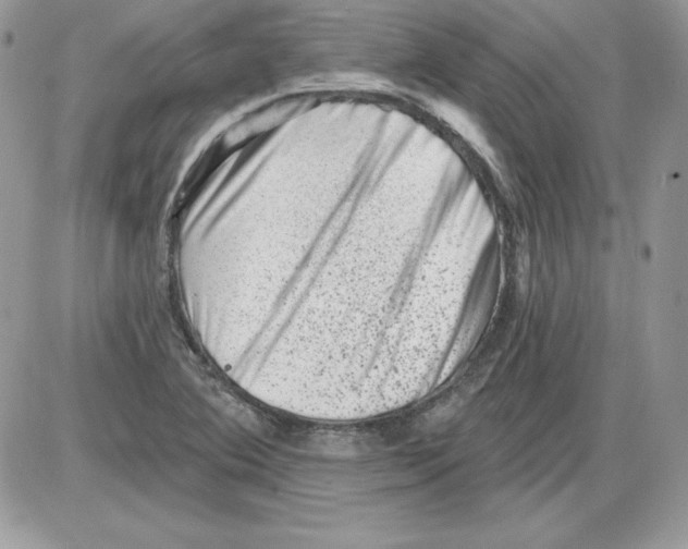 X0000085801364200704131910