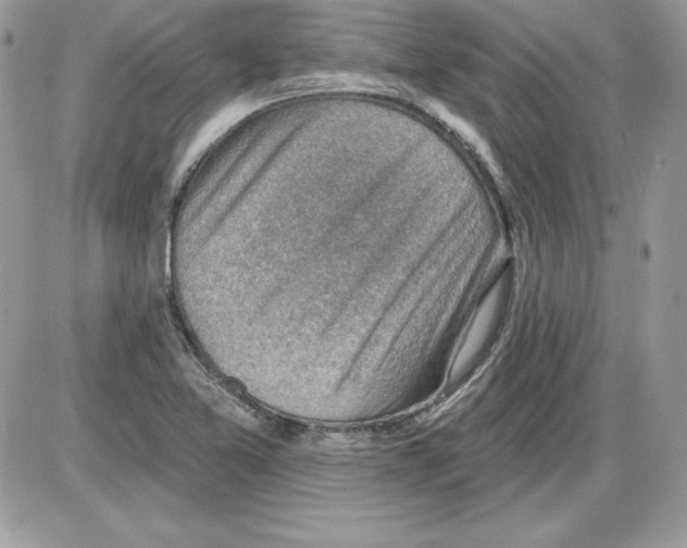 X0000085801365200704131910