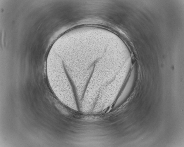 X0000085801366200704131910