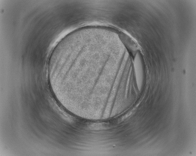 X0000085801367200704131910