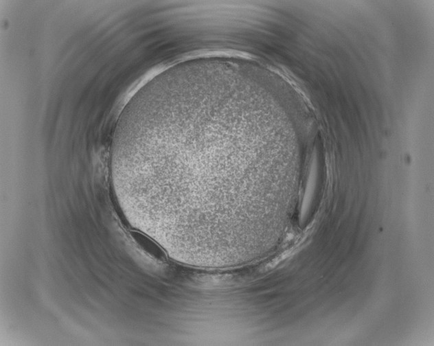 X0000085801369200704131910