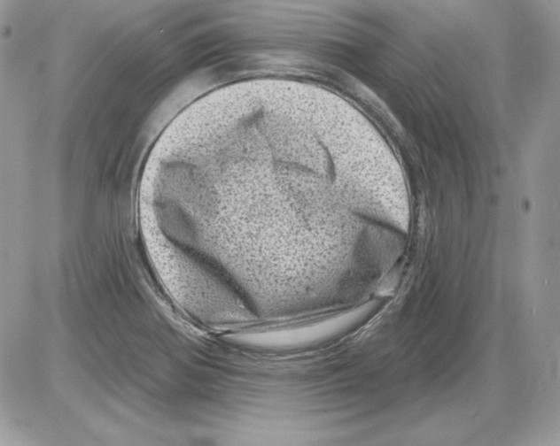 X0000085801370200704131910