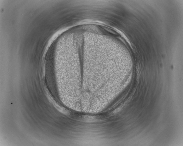 X0000085801371200704131910