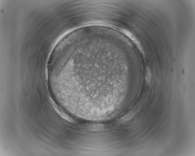 X0000085801372200704131910