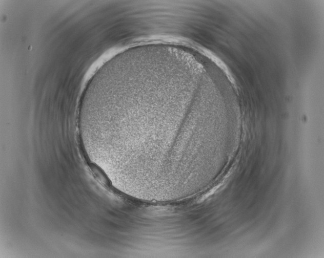 X0000085801373200704131910