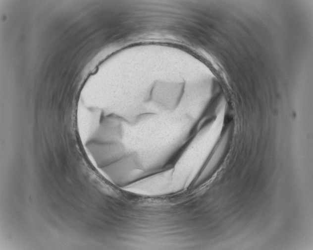 X0000085801374200704131910