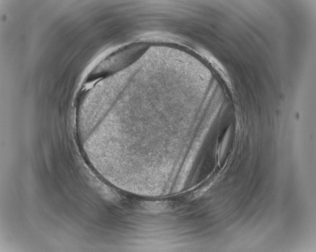 X0000085801376200704131910