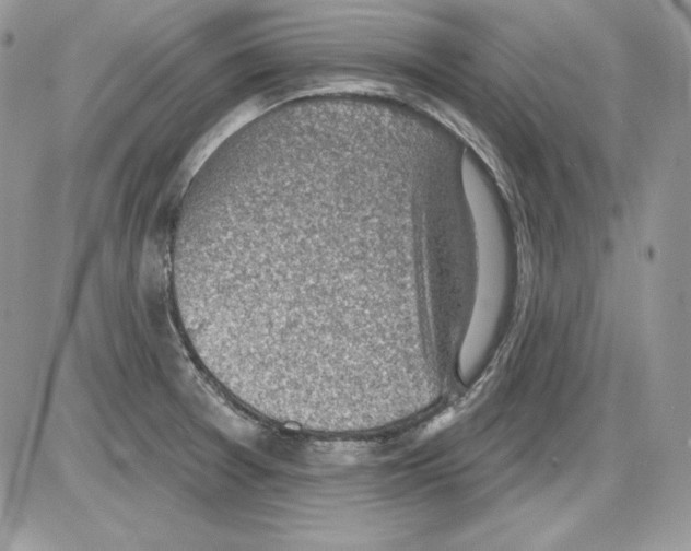 X0000085801377200704131910