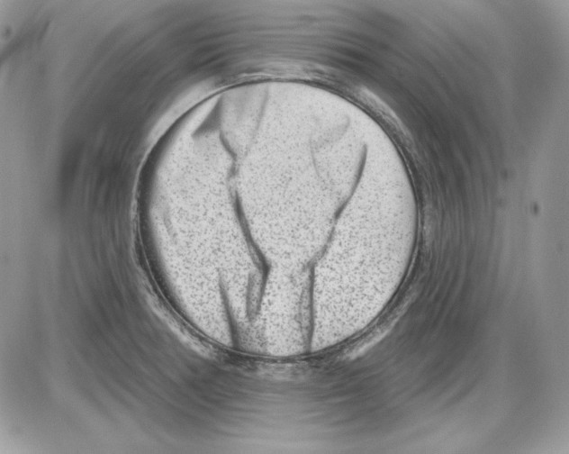 X0000085801378200704131910