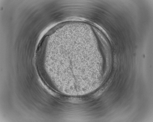 X0000085801379200704131910