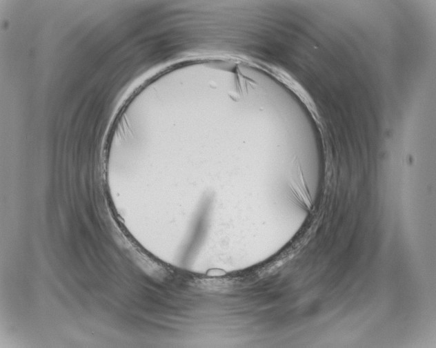 X0000085801380200704131910