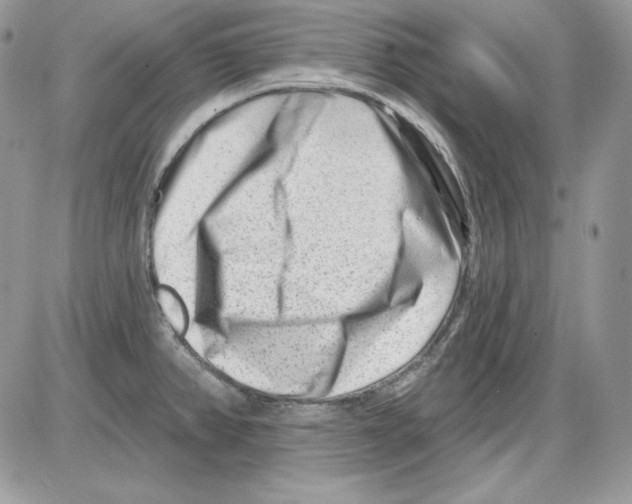 X0000085801382200704131910