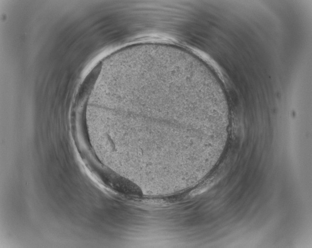 X0000085801383200704131910