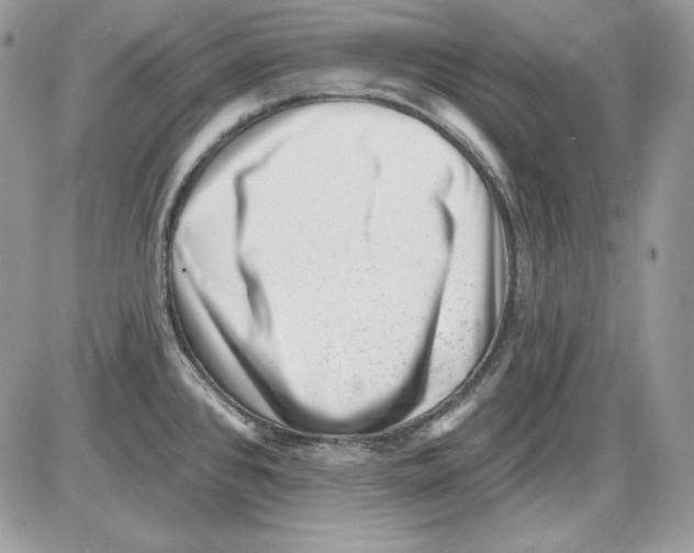 X0000085801384200704131910