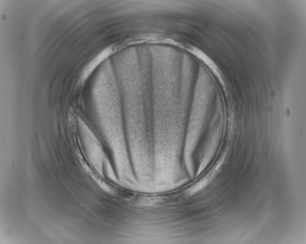 X0000085801385200704131910