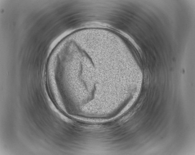 X0000085801387200704131910