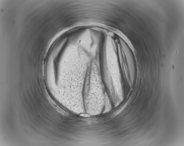 X0000085801388200704131910