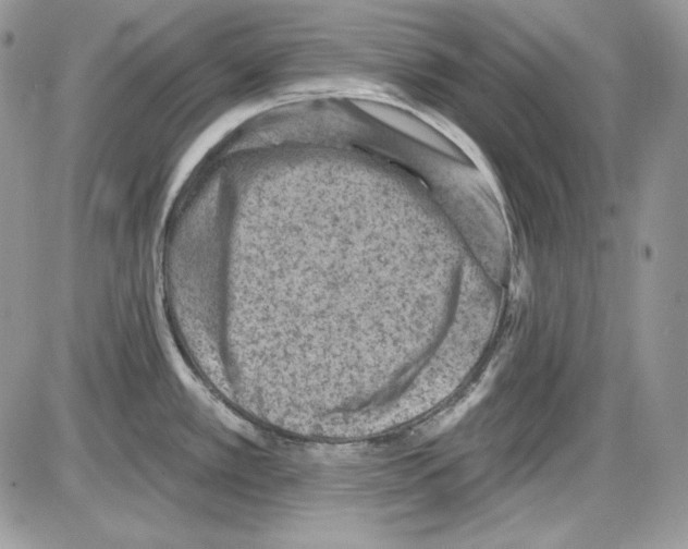 X0000085801389200704131910