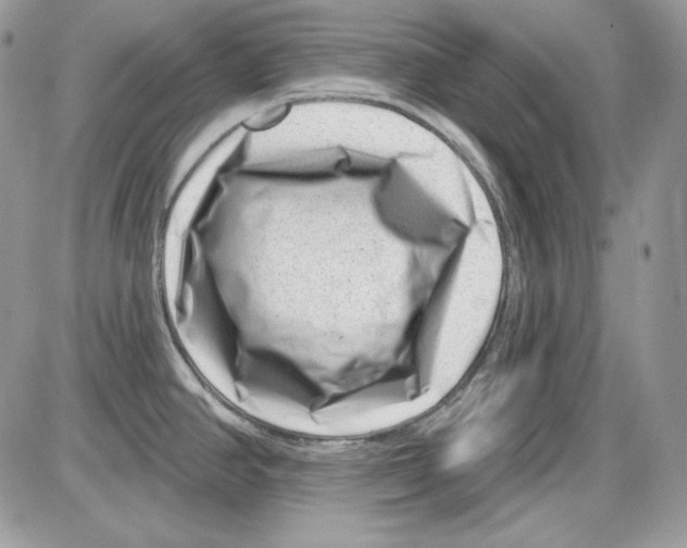 X0000085801390200704131910