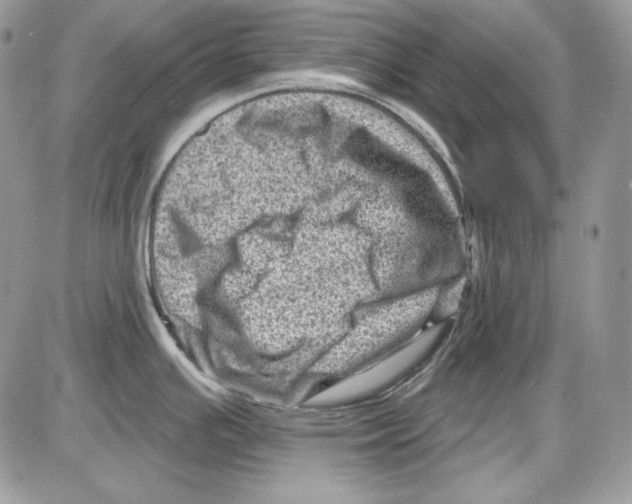 X0000085801391200704131910