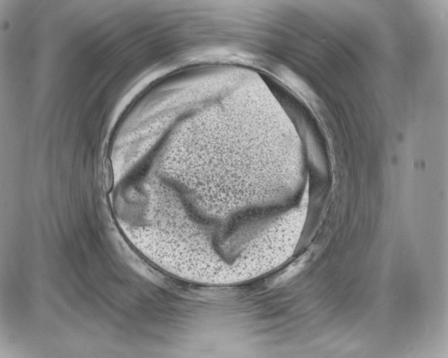 X0000085801392200704131910