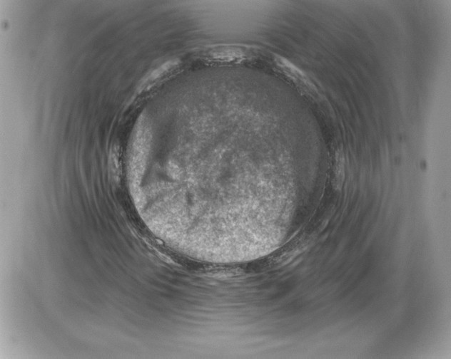 X0000085801394200704131909