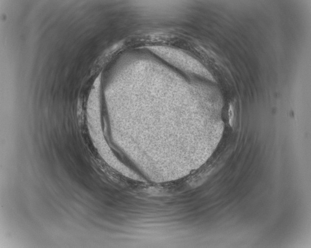 X0000085801395200704131909