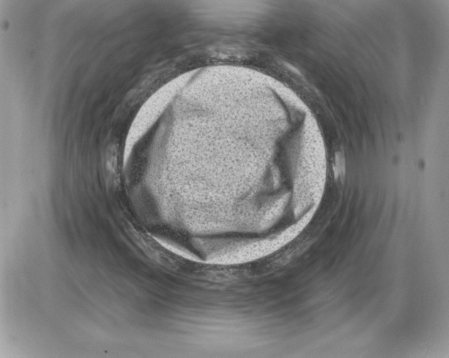 X0000085801396200704131909