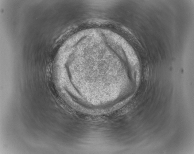 X0000085801397200704131909