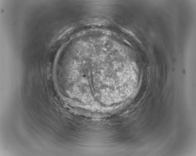 X0000085801399200704131909