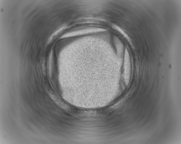 X0000085801403200704131909