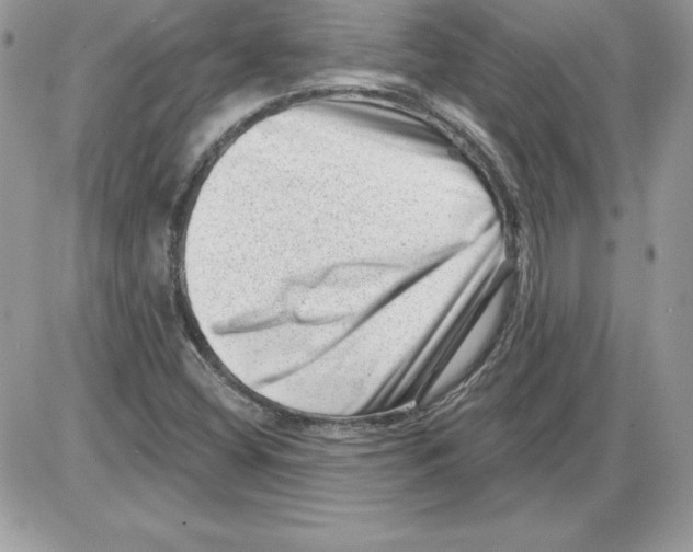 X0000085801404200704131909