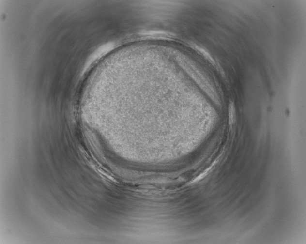 X0000085801405200704131909