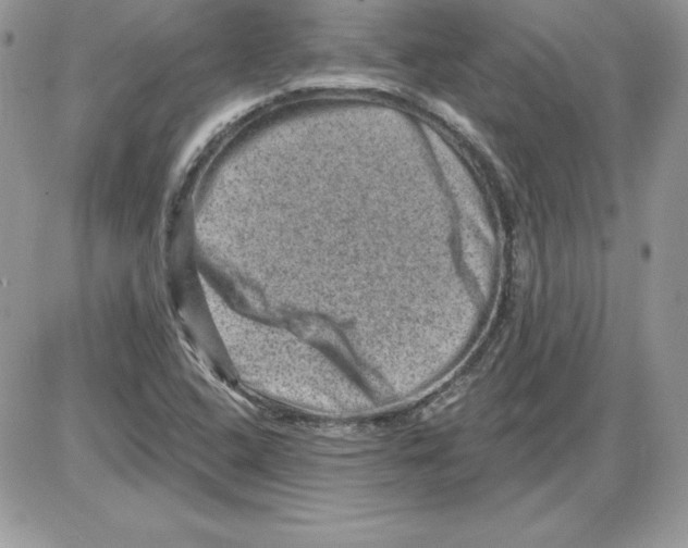 X0000085801408200704131909