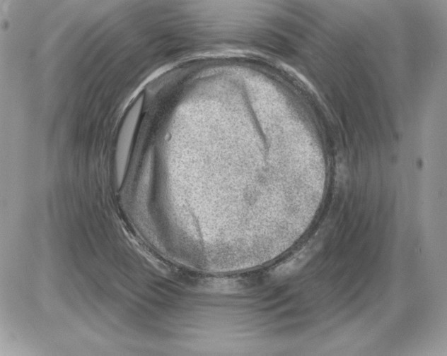 X0000085801409200704131909