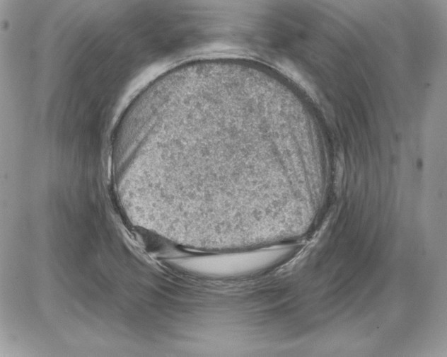 X0000085801413200704131909