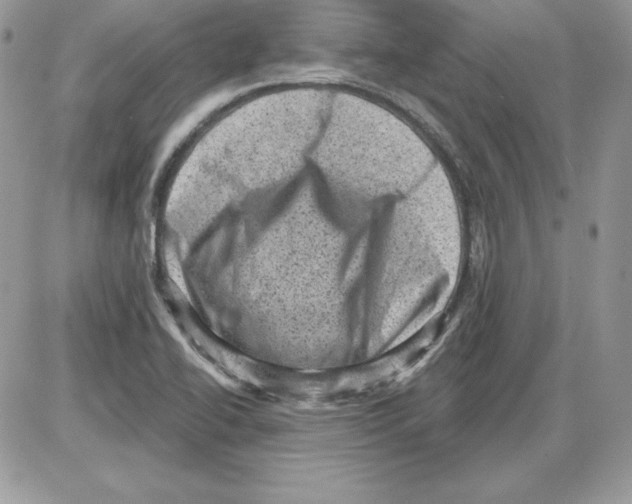 X0000085801414200704131909