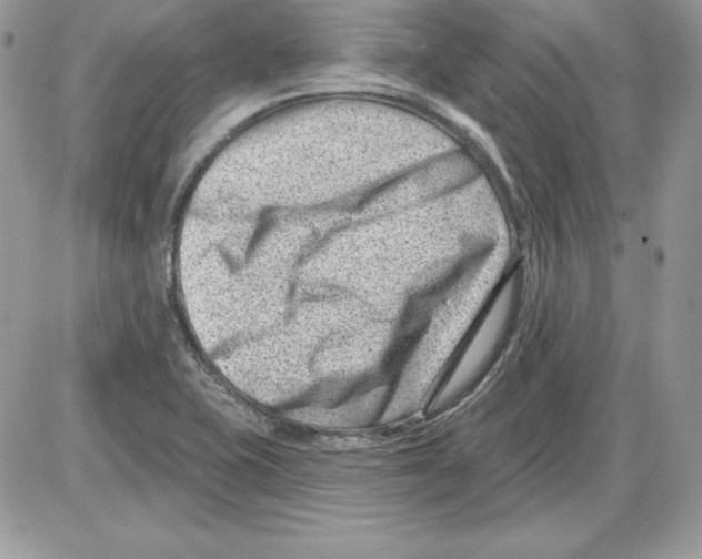 X0000085801415200704131909