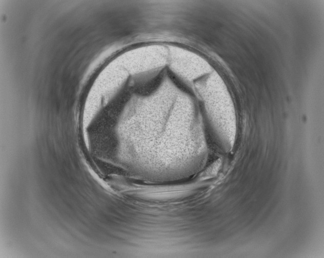 X0000085801416200704131909