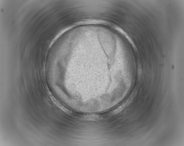 X0000085801417200704131909