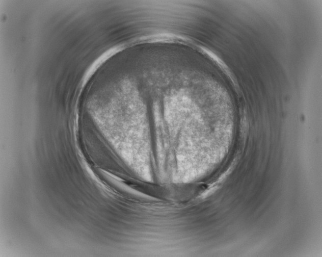 X0000085801418200704131909