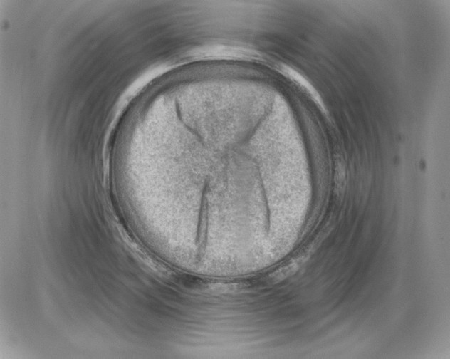 X0000085801419200704131909