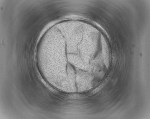 X0000085801421200704131909