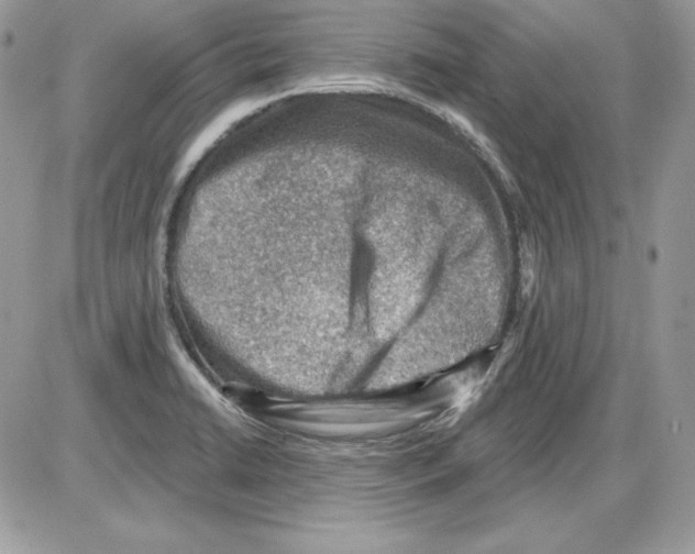 X0000085801422200704131909